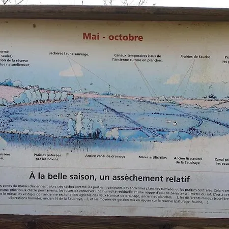 50 M2, Calme, Marche A Pied, Proche * גידל